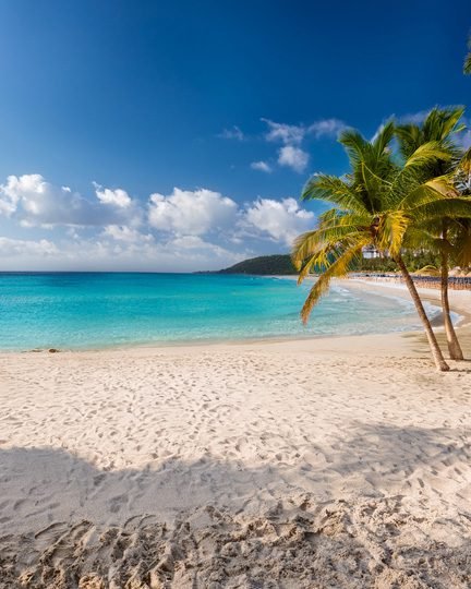 Your End-of-Summer Puzzle Guide - Illustration Vertical